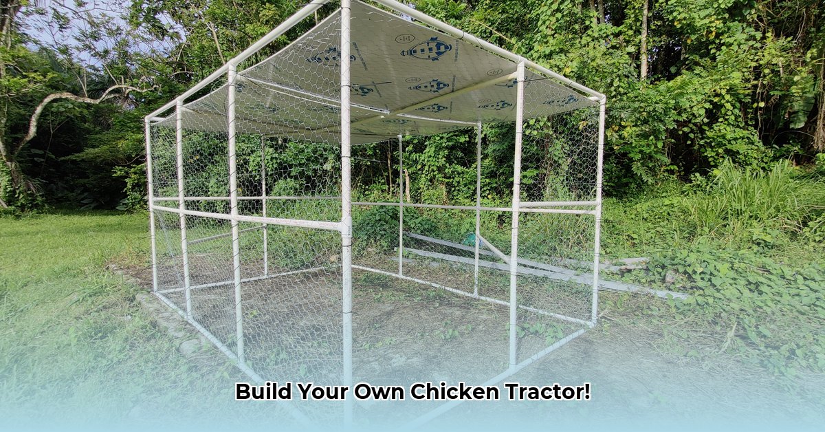 pvc-chicken-tractor-plans